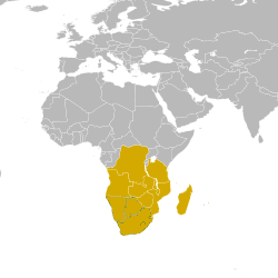 Sadc